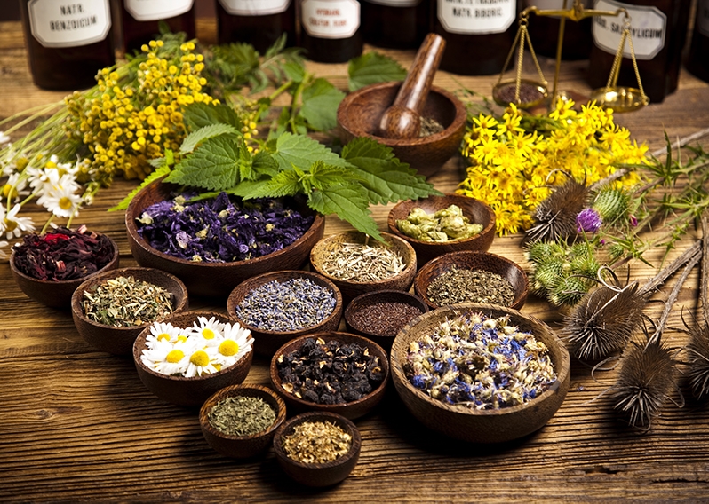 How Herbs Help the Body Heal Itself: a picture Healthy herbs and roots on table.