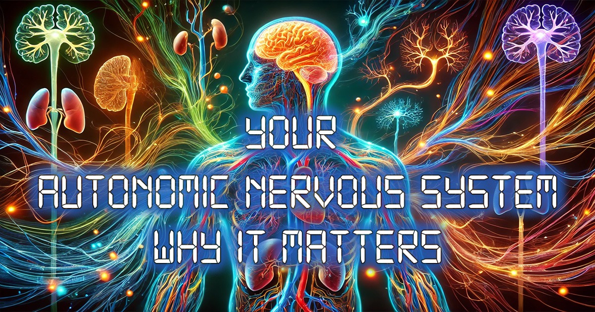 Your Autonomic Nervous System Why It Matters image illustration silhouette of a transparent man, showing inside structures of body.